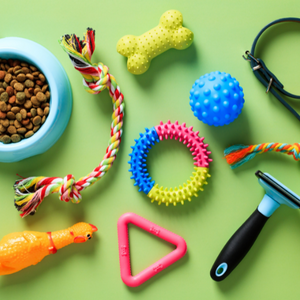 Assorted eco-friendly pet toys and accessories, including a blue bowl of natural pet food, colorful chew toys, and grooming tools, on a bright green background.