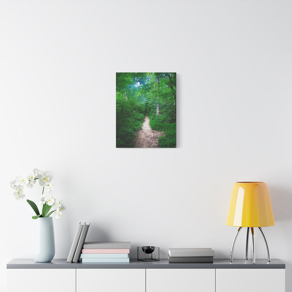 Enchanted Trail - Forest Path Canvas Print