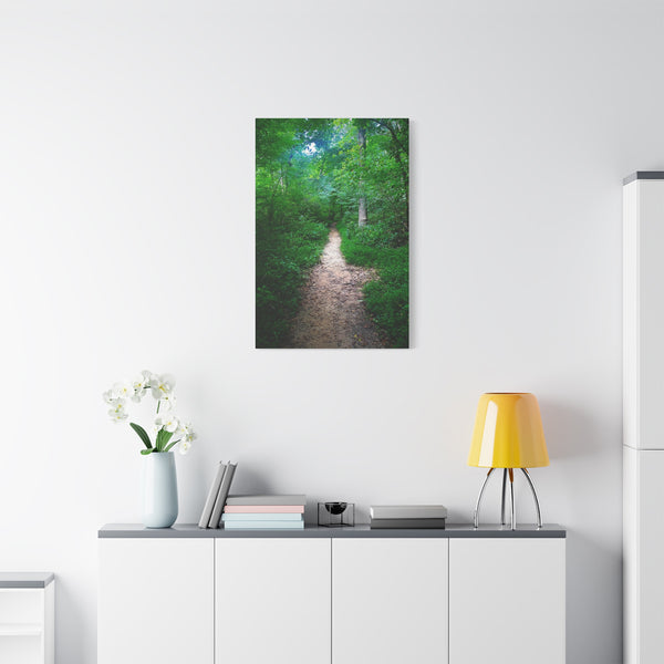 Enchanted Trail - Forest Path Canvas Print