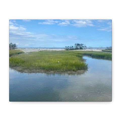 Whispers of Nature - Hunting Island Serenity - Eco-Friendly Canvas Print