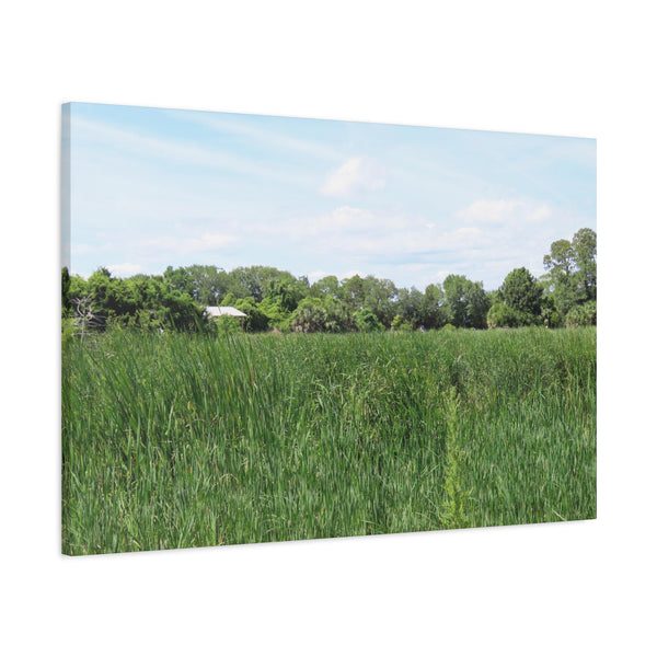 Memory Lane - Pinckney Island Nature Canvas Print