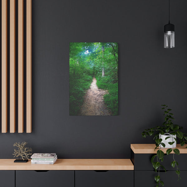 Enchanted Trail - Forest Path Canvas Print