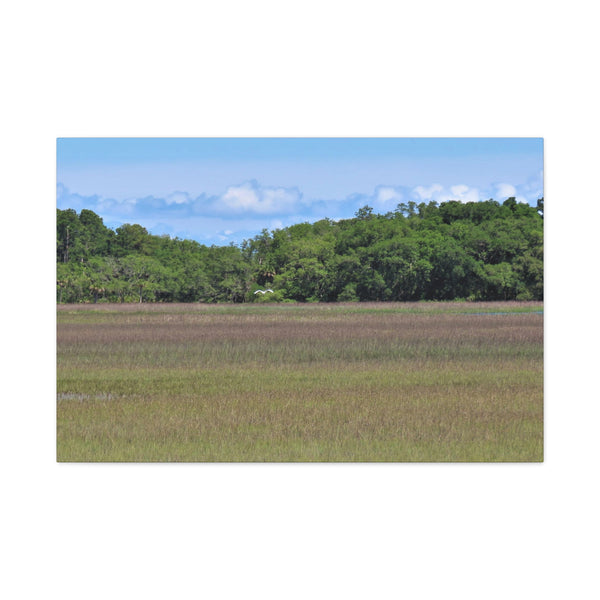 Refuge Serenity - Pinckney Island Canvas Print