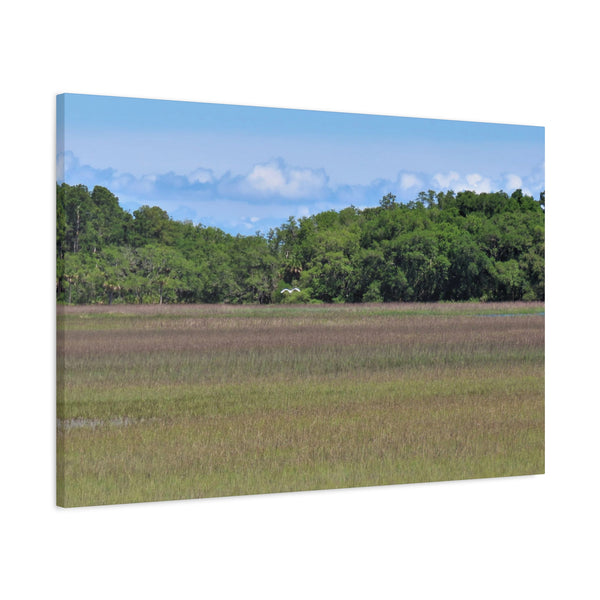 Refuge Serenity - Pinckney Island Canvas Print