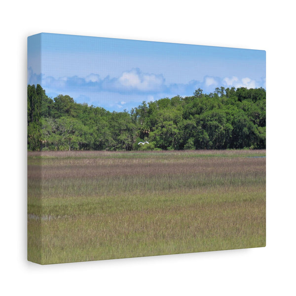 Refuge Serenity - Pinckney Island Canvas Print