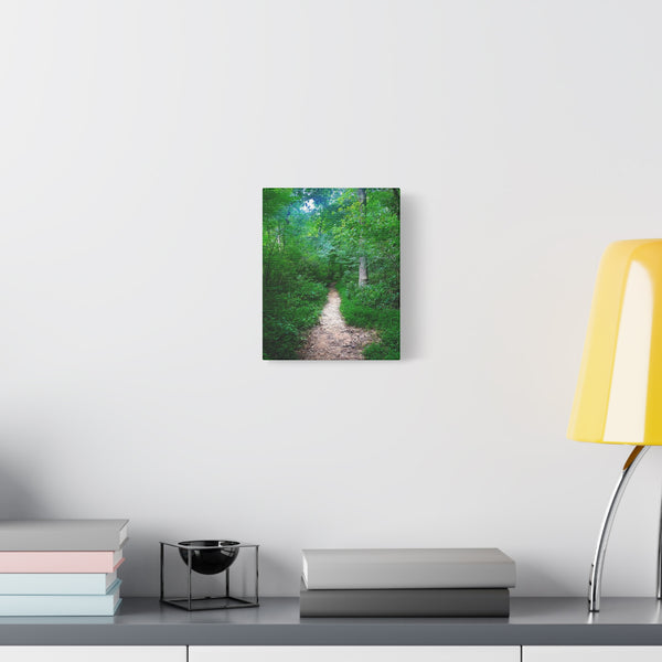 Enchanted Trail - Forest Path Canvas Print