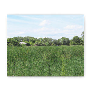 Memory Lane - Pinckney Island Nature Canvas Print