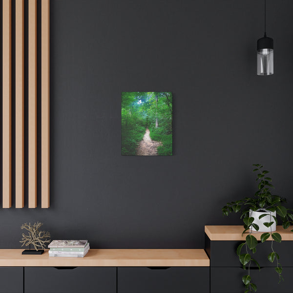 Enchanted Trail - Forest Path Canvas Print