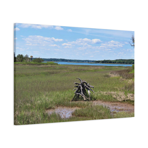 Resilient Roots - Canvas Print