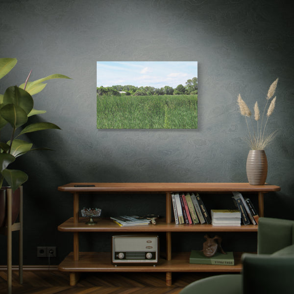 Memory Lane - Pinckney Island Nature Canvas Print