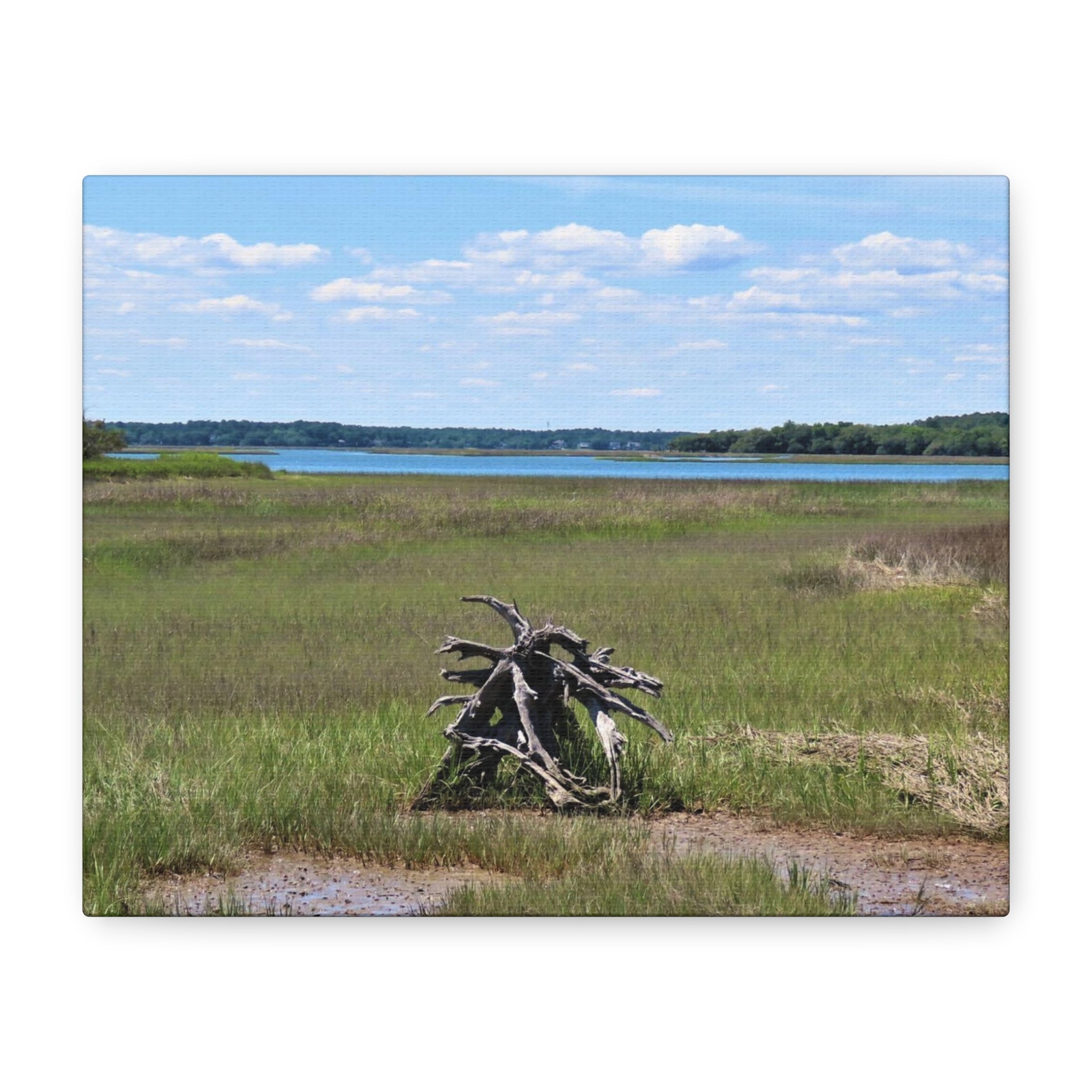 Resilient Roots - Canvas Print