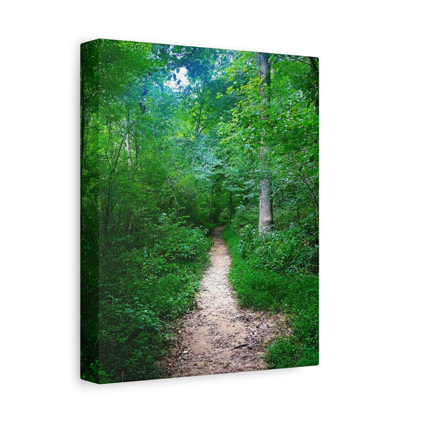 Enchanted Trail - Forest Path Canvas Print