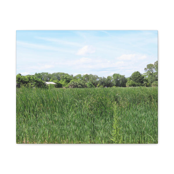 Memory Lane - Pinckney Island Nature Canvas Print